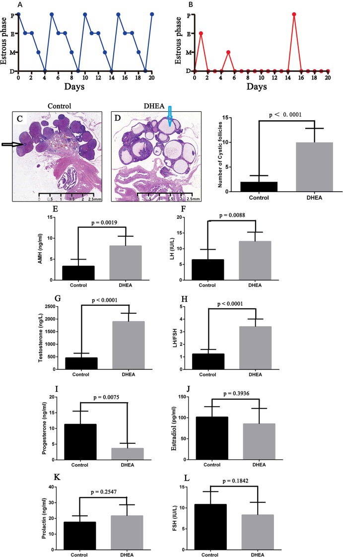 Figure 1