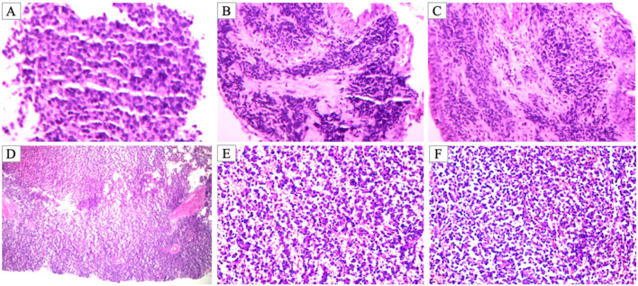 Figure 2