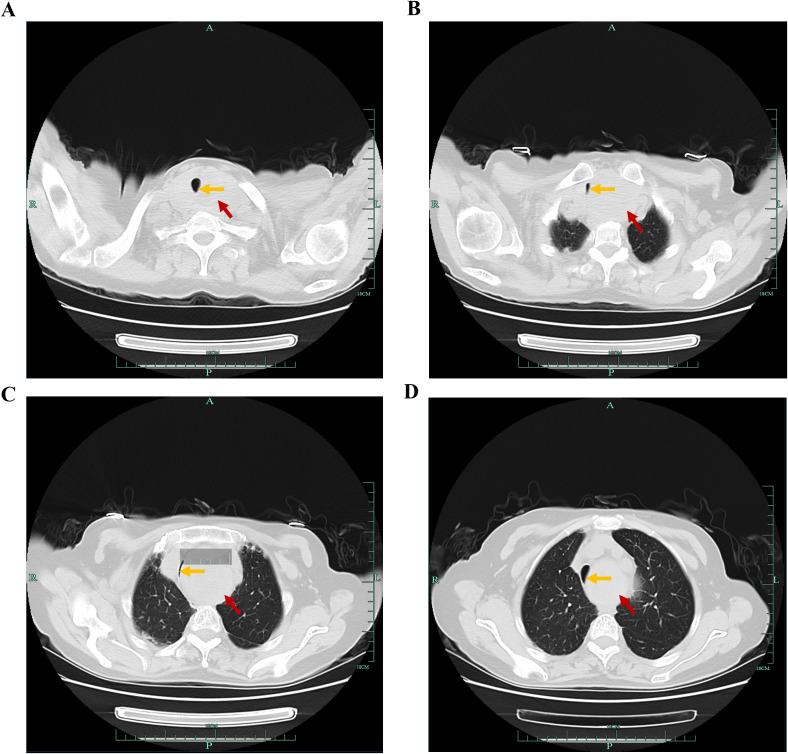 Figure 1