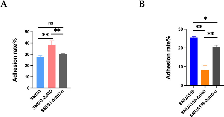 Figure 4