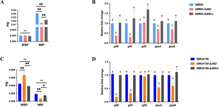 Figure 6