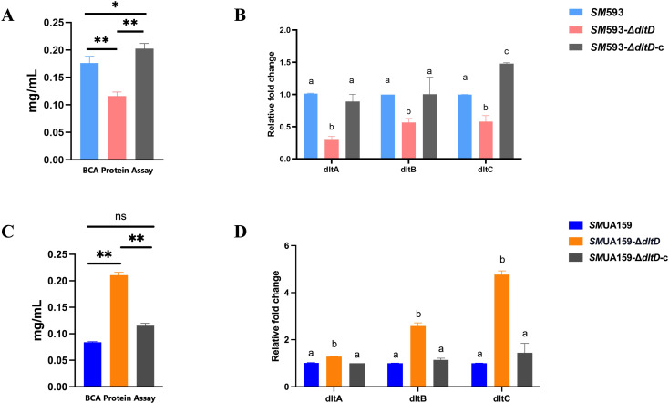 Figure 7