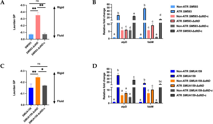 Figure 11