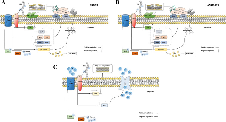 Figure 12
