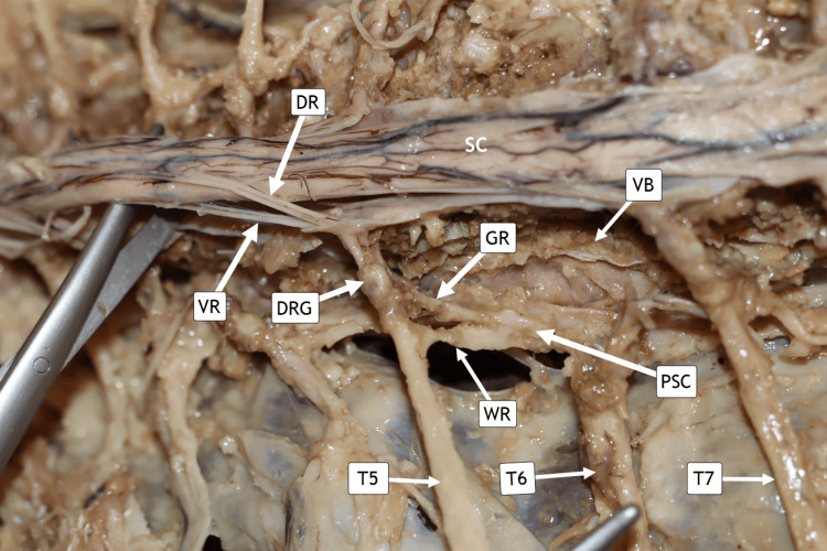 Figure 7