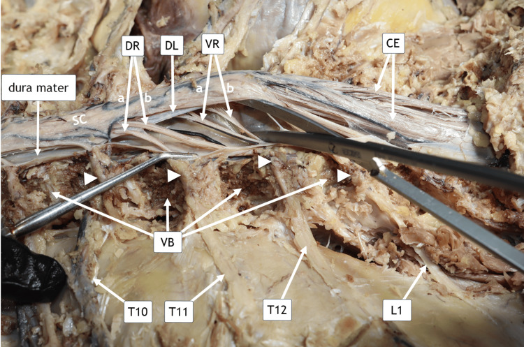 Figure 8