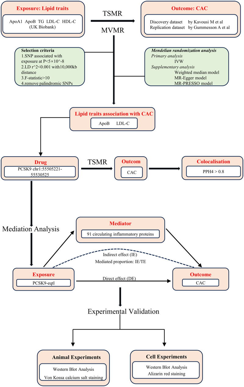 Figure 1