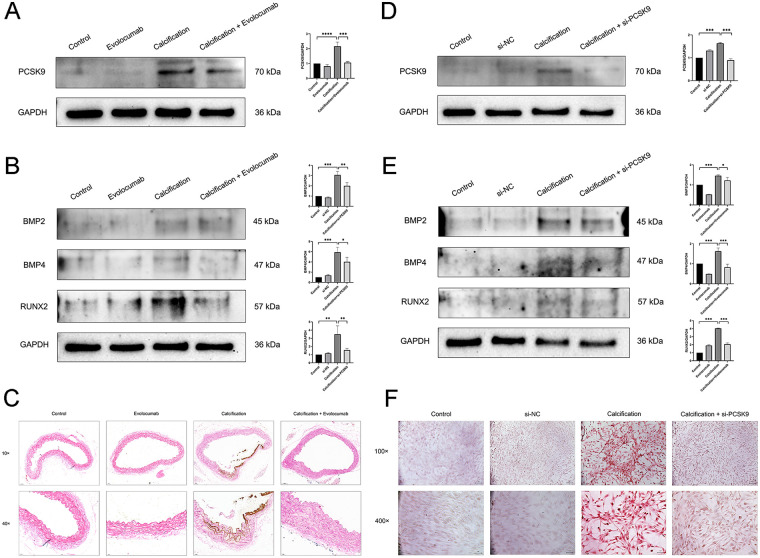 Figure 5