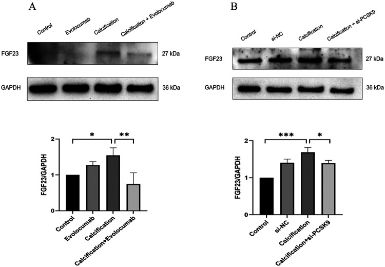 Figure 6