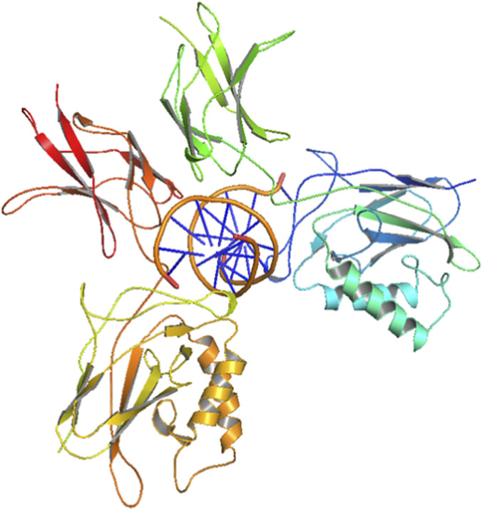 FIGURE 1