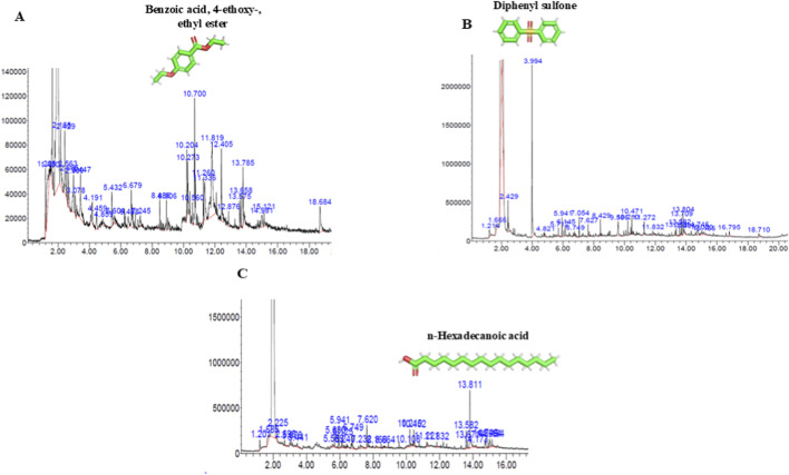 FIGURE 4