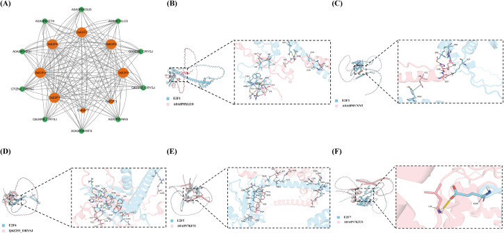 Figure 5