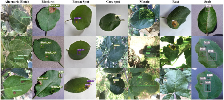 Figure 1