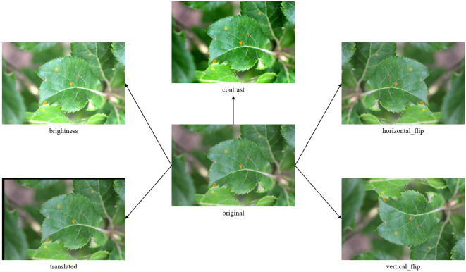 Figure 3