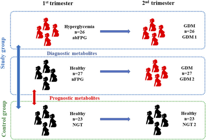FIGURE 1