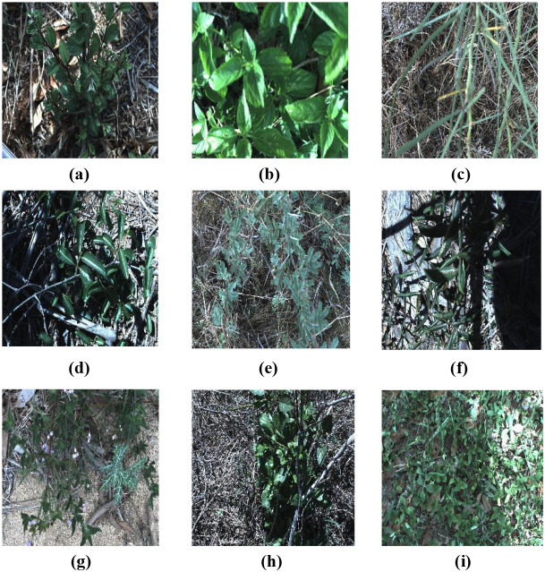 Figure 1