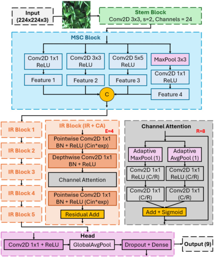 Figure 2