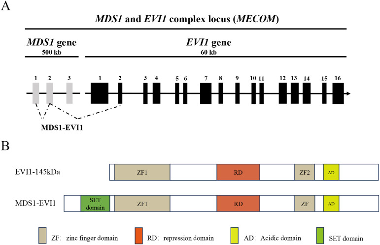 Figure 1