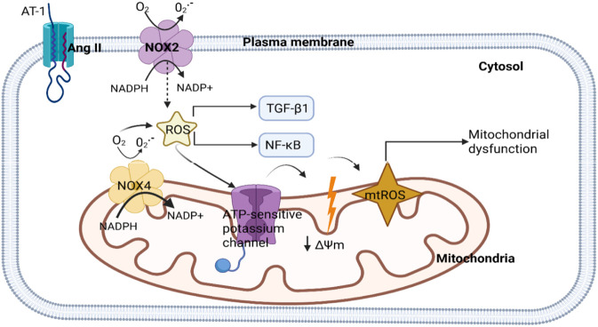 FIGURE 6