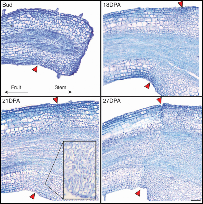 Figure 4