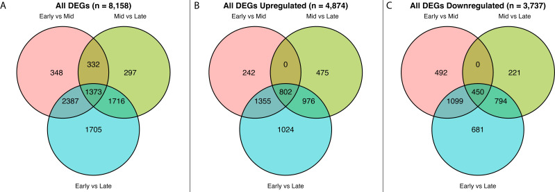Figure 7