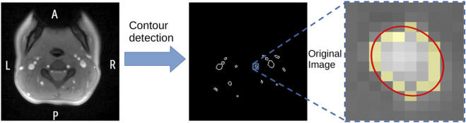 FIGURE 3