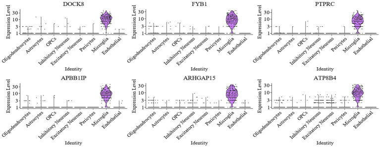 Figure 6