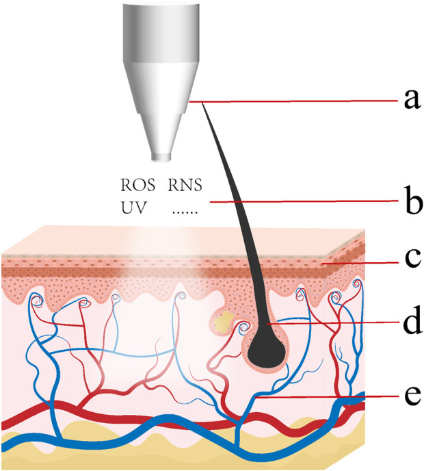 FIGURE 1