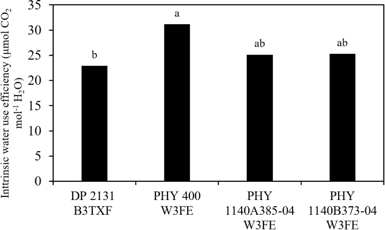 Figure 5