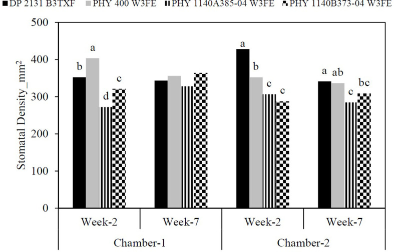Figure 6