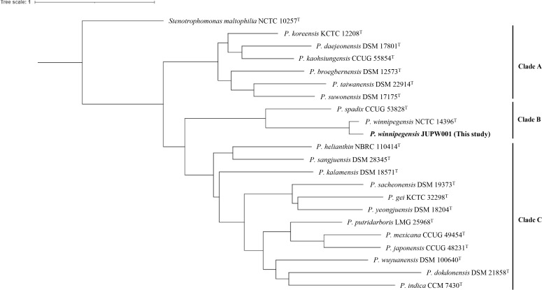 Figure 1