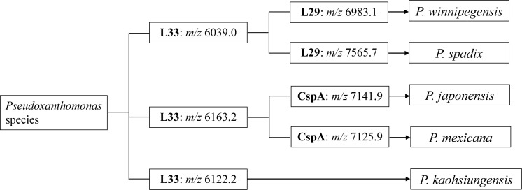 Figure 4