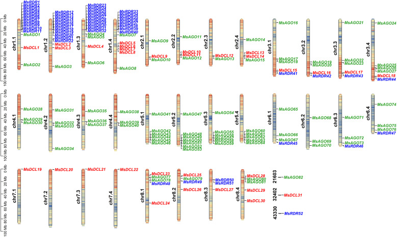 Figure 1