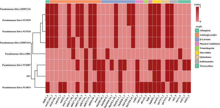 Figure 4