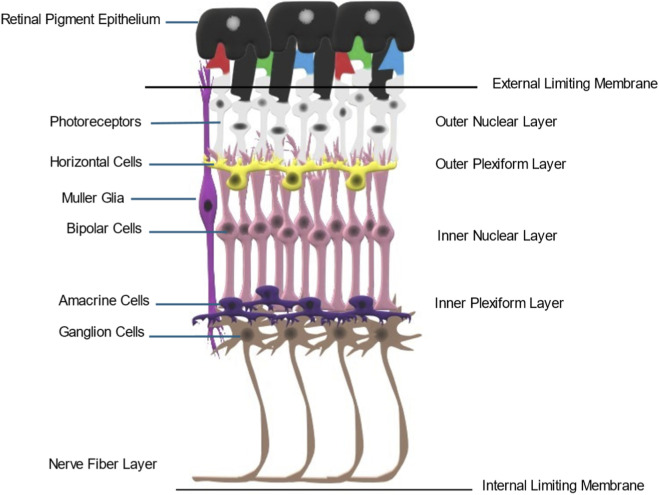FIGURE 1