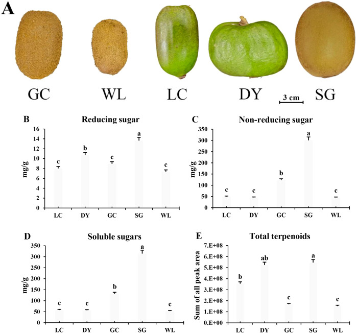 Figure 1