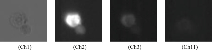 FIGURE 3