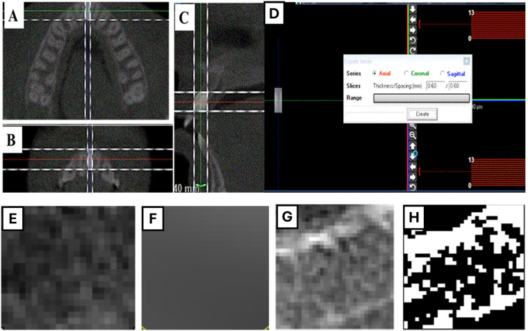 Figure 2