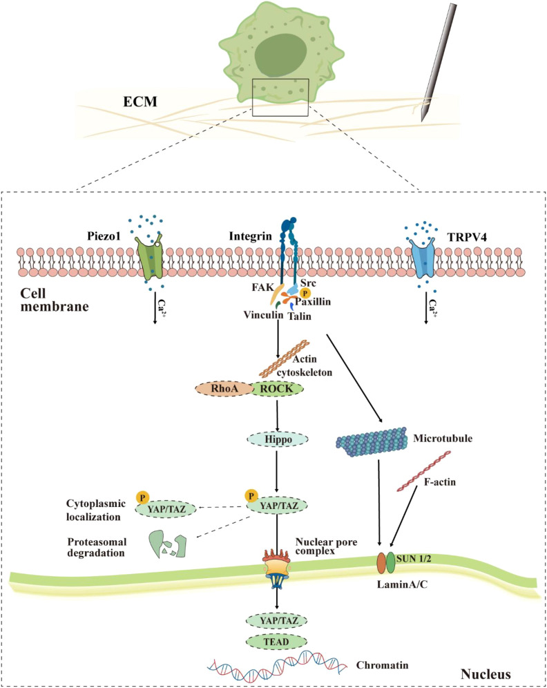 Figure 2