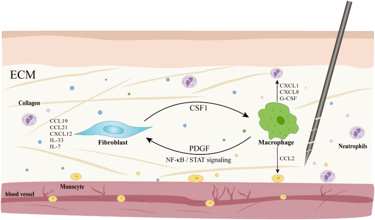 Figure 4