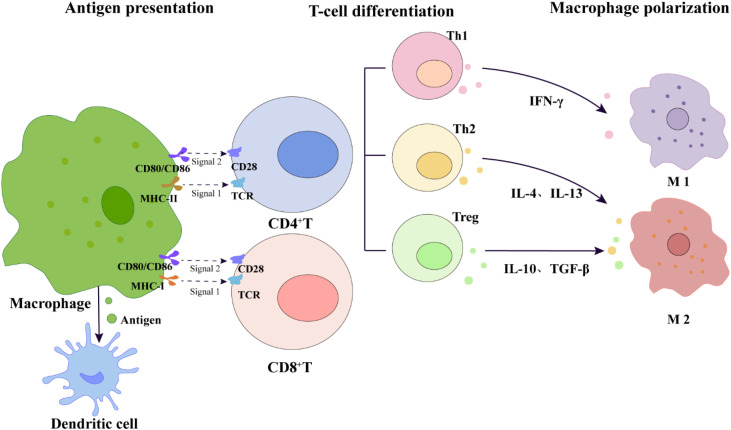 Figure 5