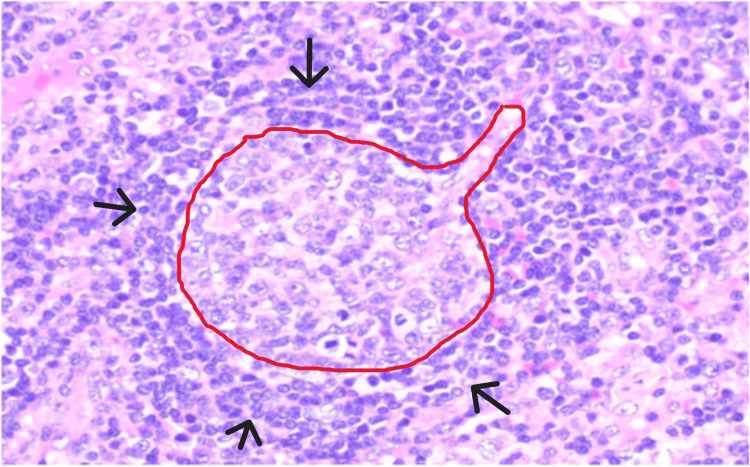Figure 5