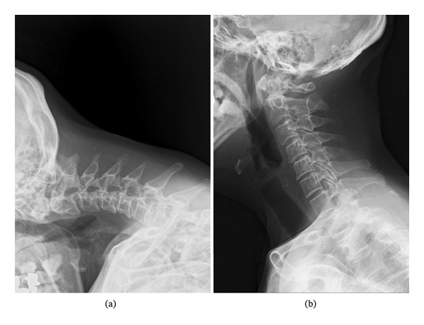 FIGURE 5