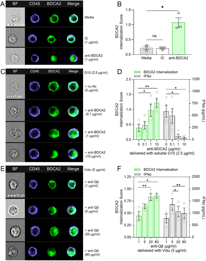 Figure 5
