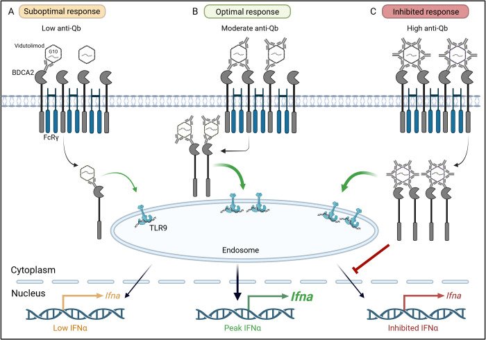 Figure 6