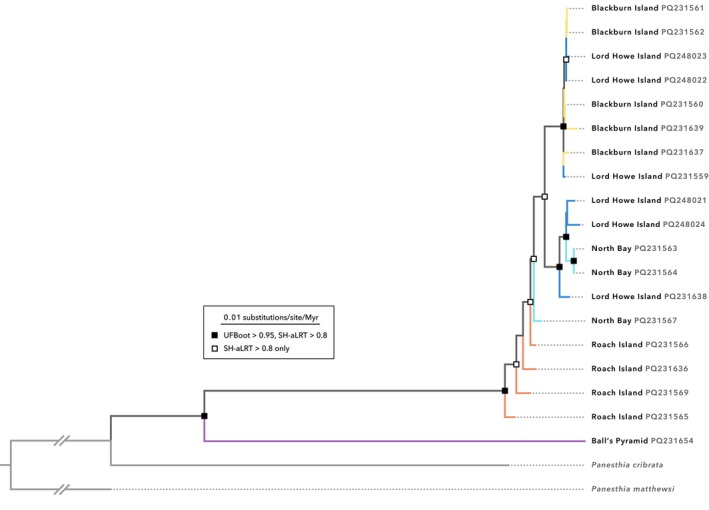 FIGURE 3