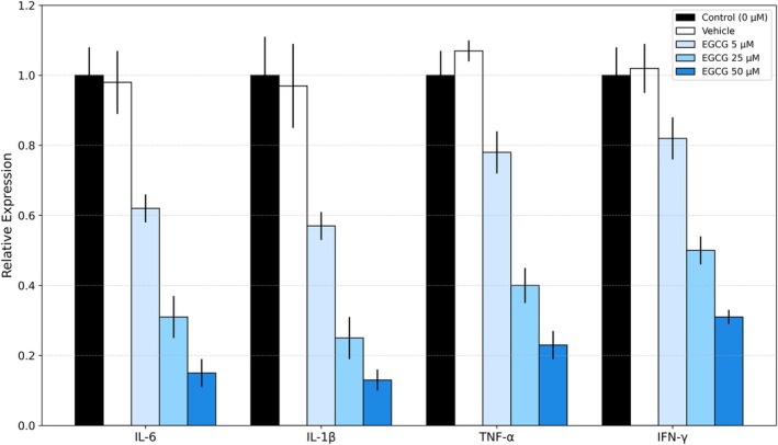 FIGURE 4