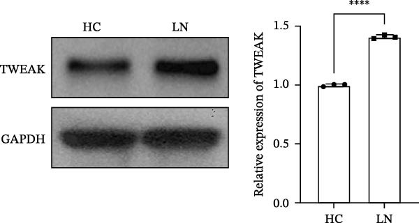 Figure 17