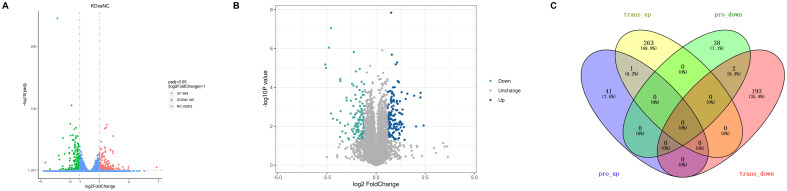 Figure 3