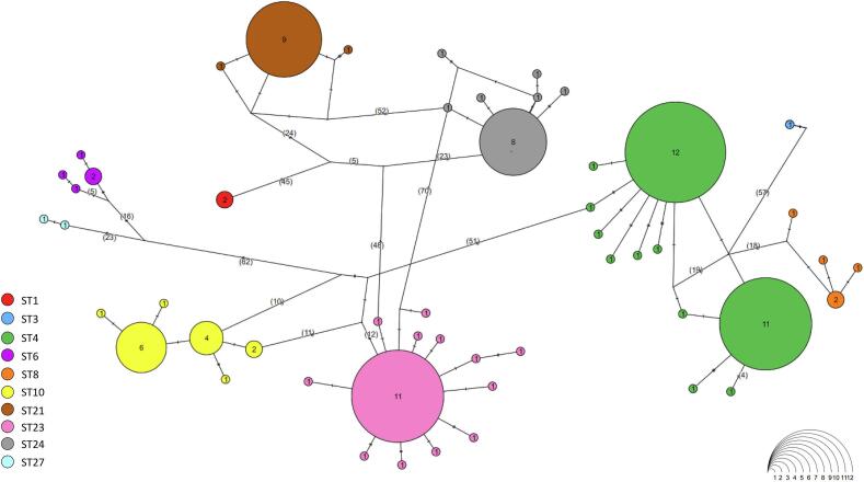 Figure 4